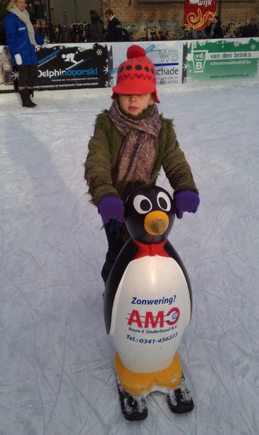 Schaatsen op de ijsbaan